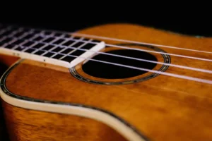 The Ukulele: Fun and Easy Songs for Complete Beginners
